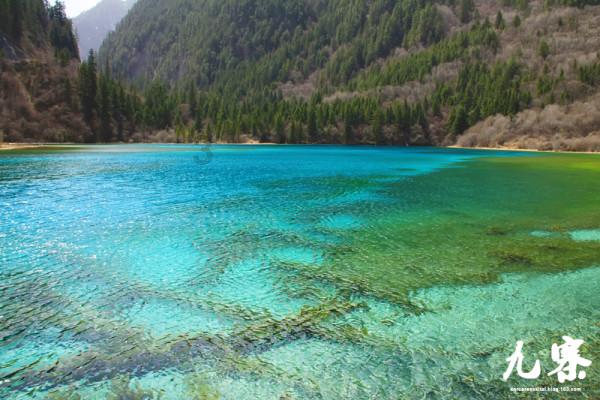 岩浆地牢