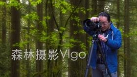 召唤神龙万宁版祖龙