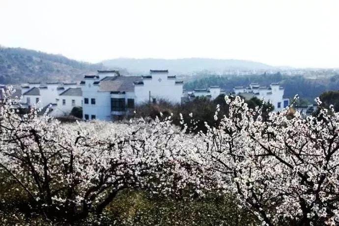曼晚:曼联周三下午进行一场闭门比赛,1-3不敌伯恩利